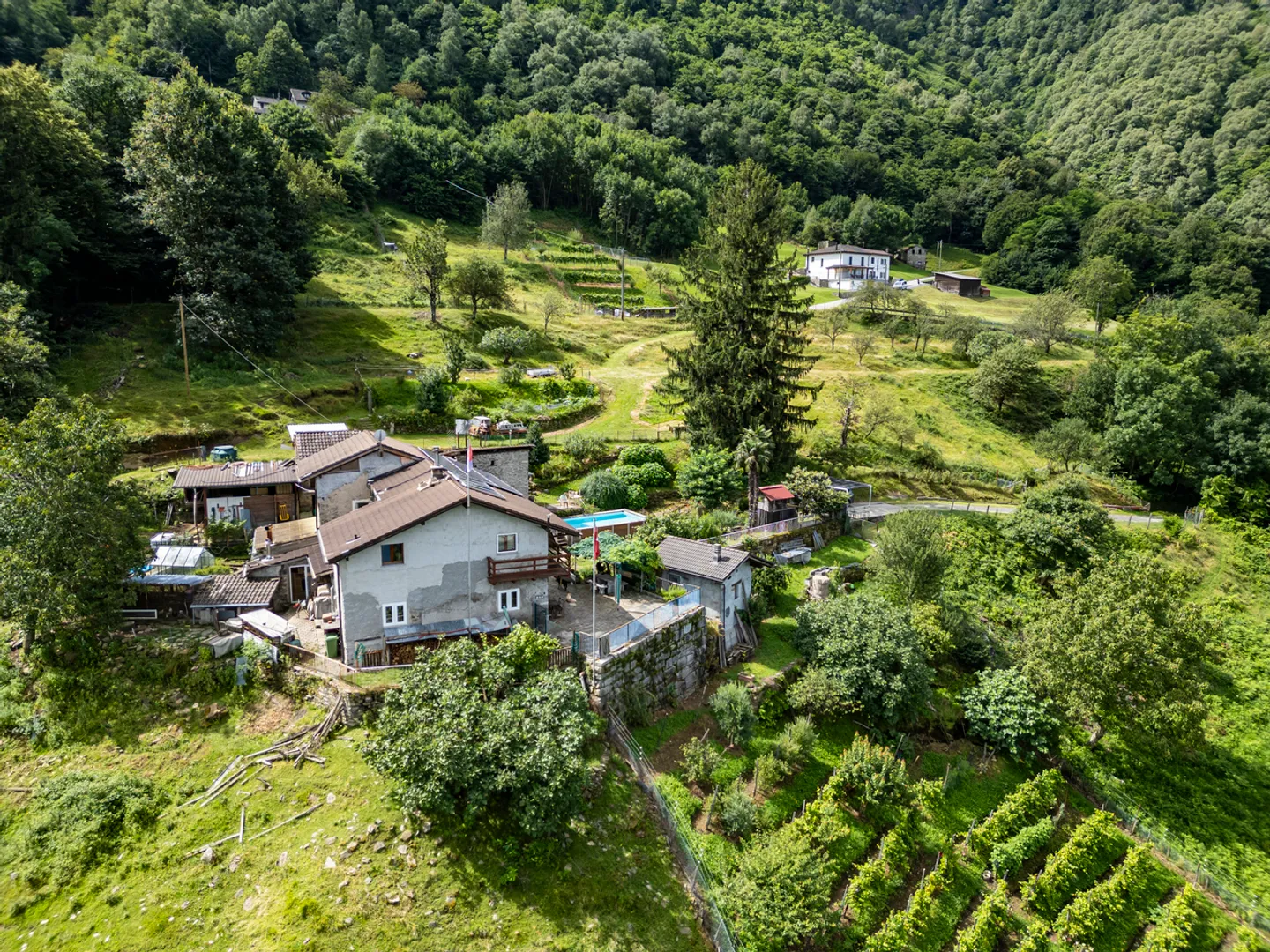 Casa ticinese con 20'000 m di terreno, piscina e rustico - Foto 17 di 20