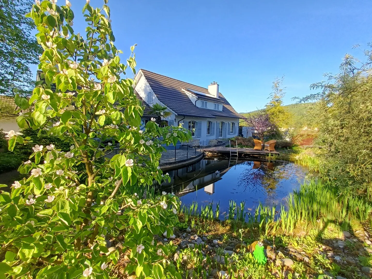 Country House Villa with Generous Surroundings - Photo 1 of 4