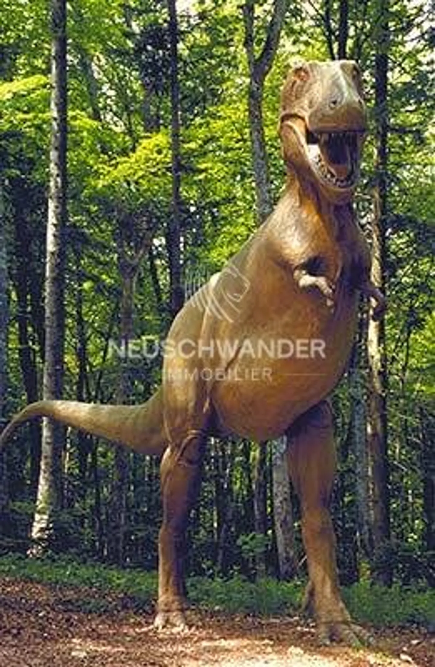 House - Photo 5 of 8