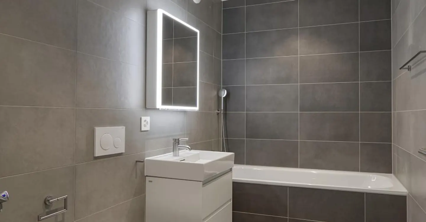 New 4-room apartment - Chêne Bourg - Photo 10 of 10