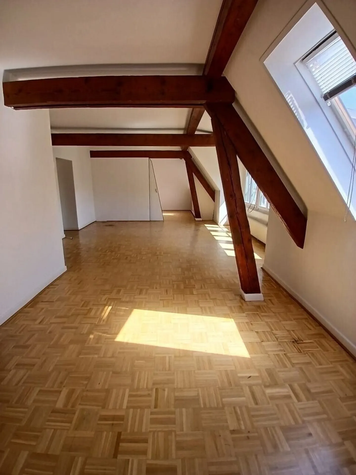 Zu ergreifen! Charmante Wohnung zur Miete im Herzen von Plainpalais! - Foto 3 von 7