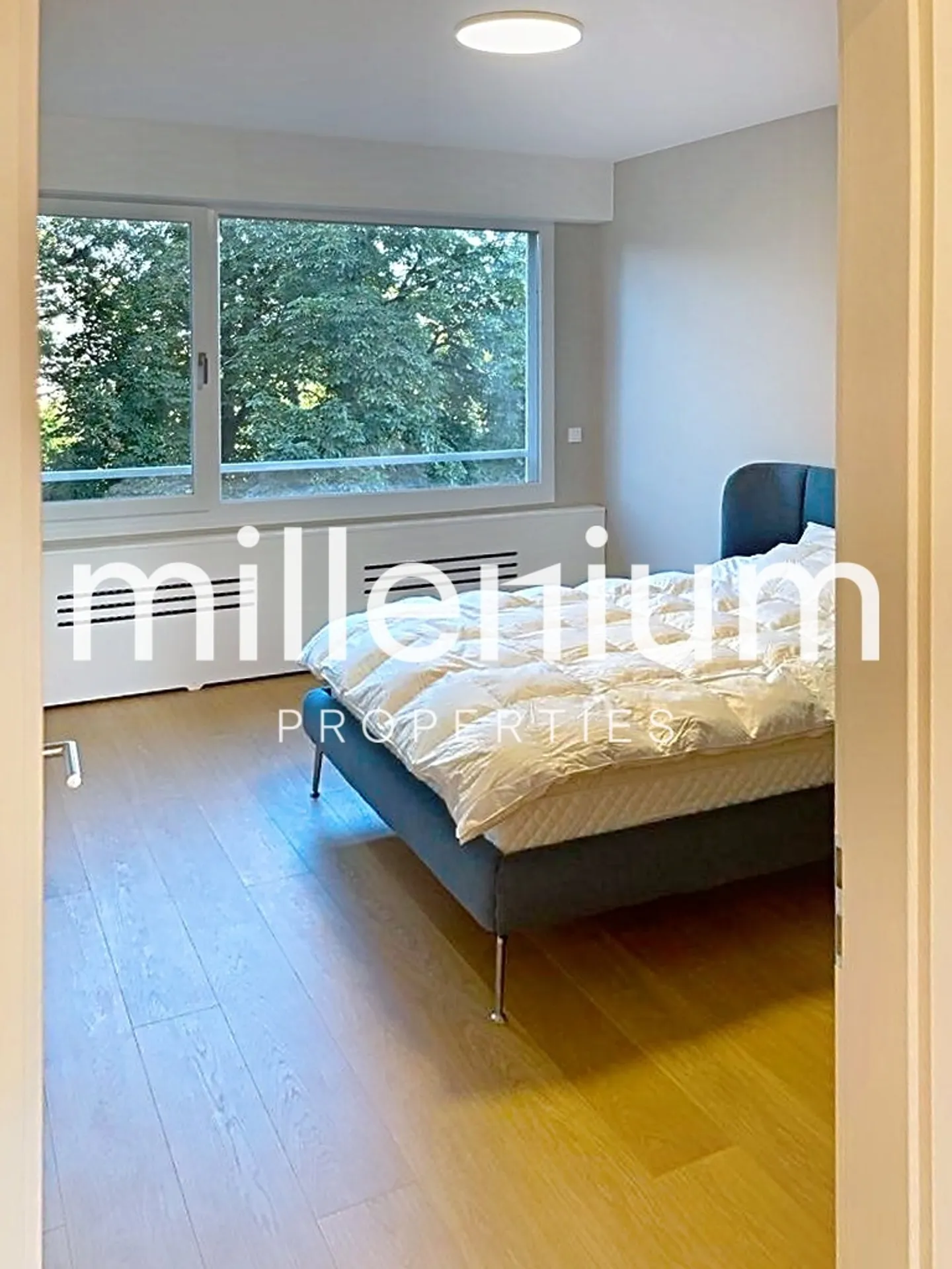 Extraordinary Apartment in the Heart of Geneva - Bouchet District - Photo 6 of 8