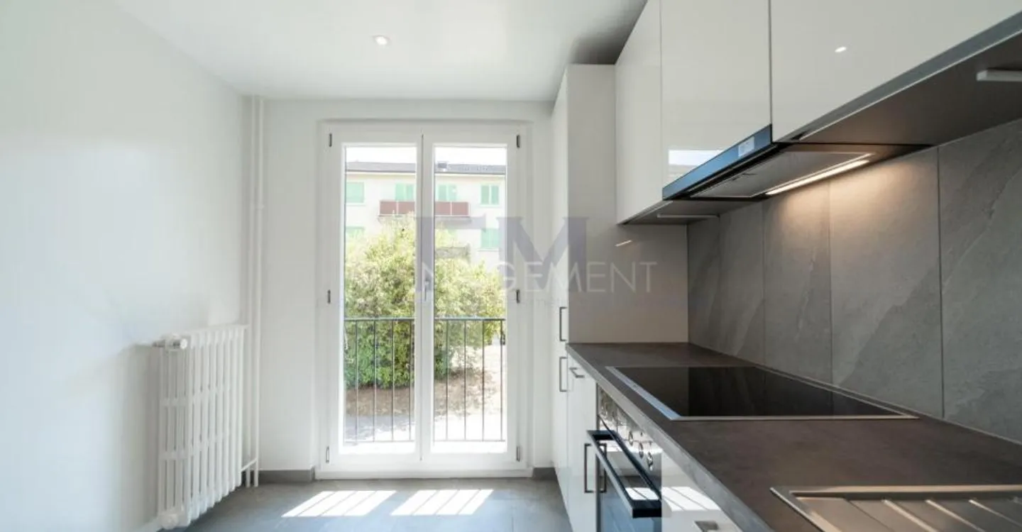 Renovated Apartment in Chêne-Bourg - Photo 1 of 13