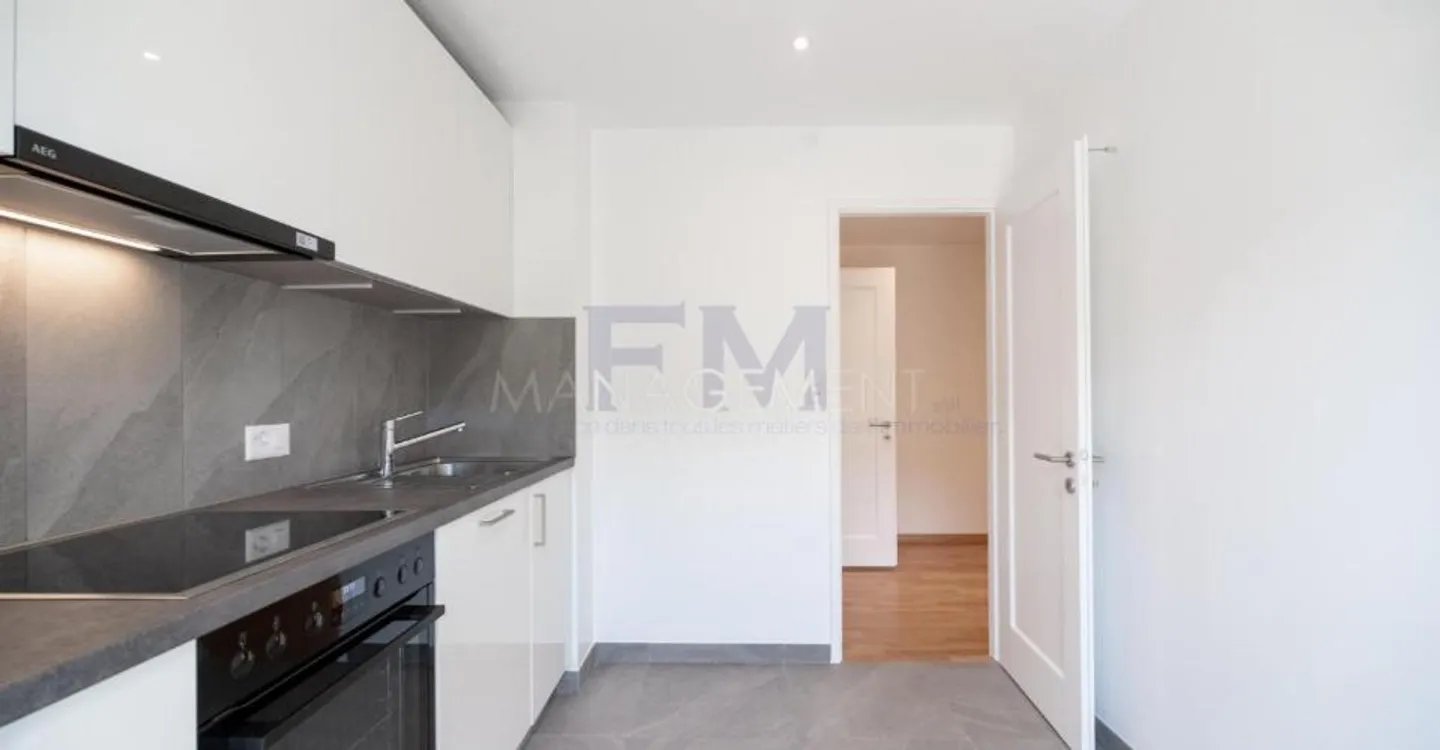Renovated Apartment in Chêne-Bourg - Photo 2 of 13