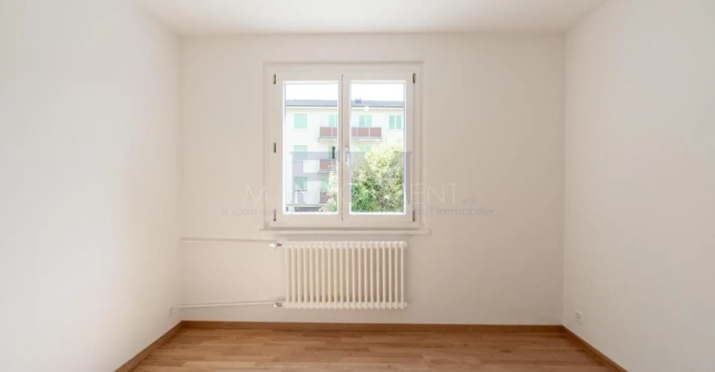 Renovated Apartment in Chêne-Bourg - Photo 3 of 13