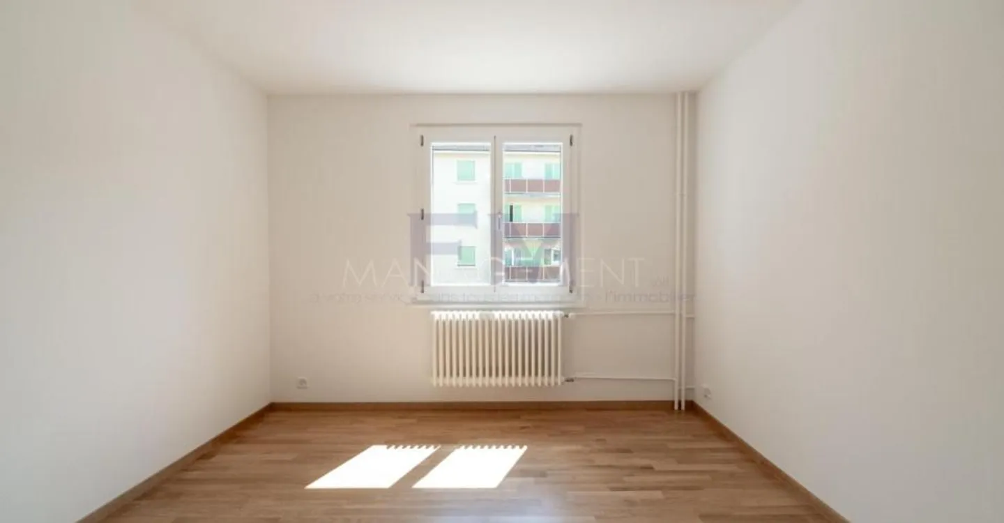 Renovated Apartment in Chêne-Bourg - Photo 4 of 13