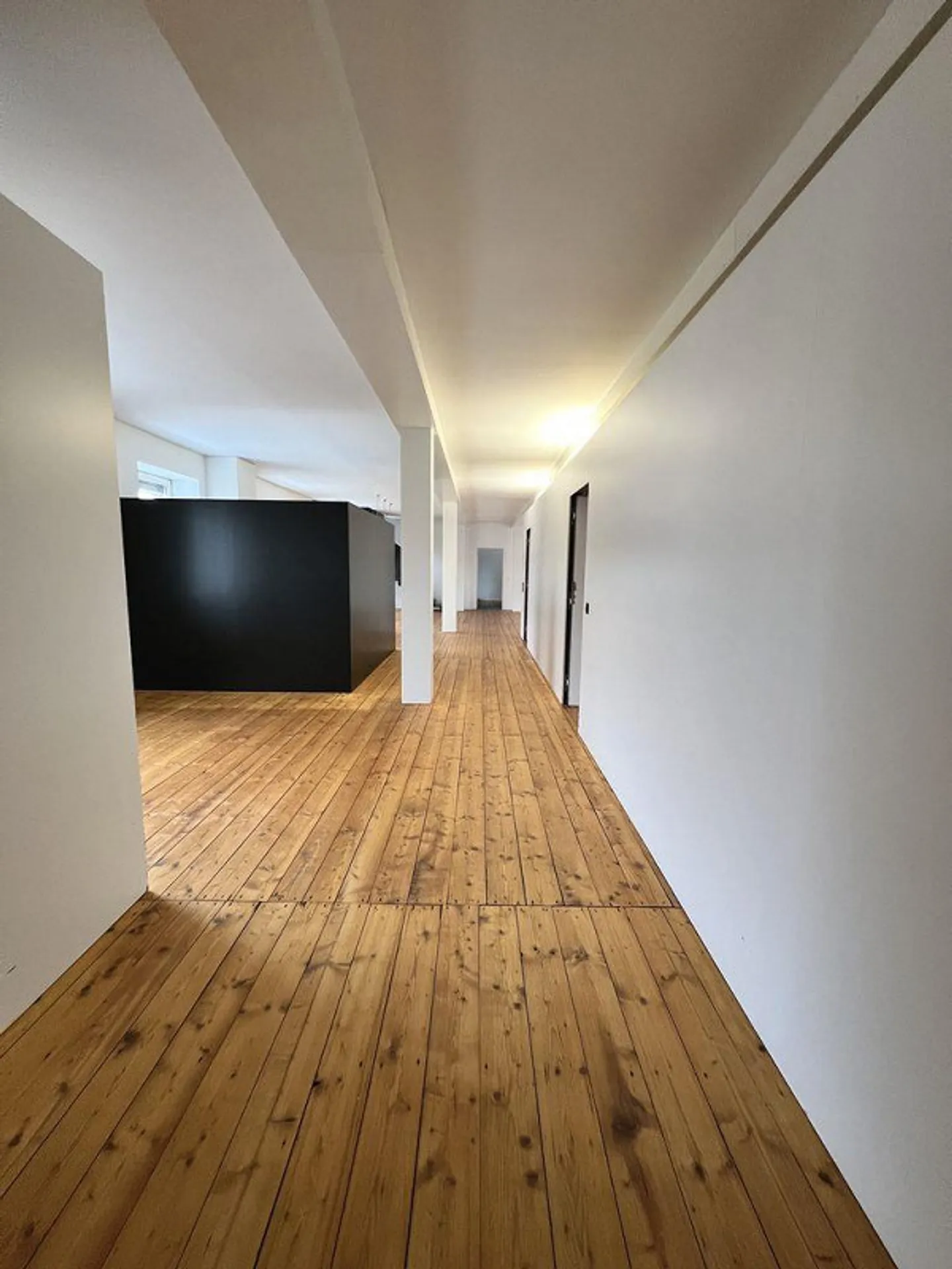 Appartamento Loft Incantevole - Foto 4 di 13