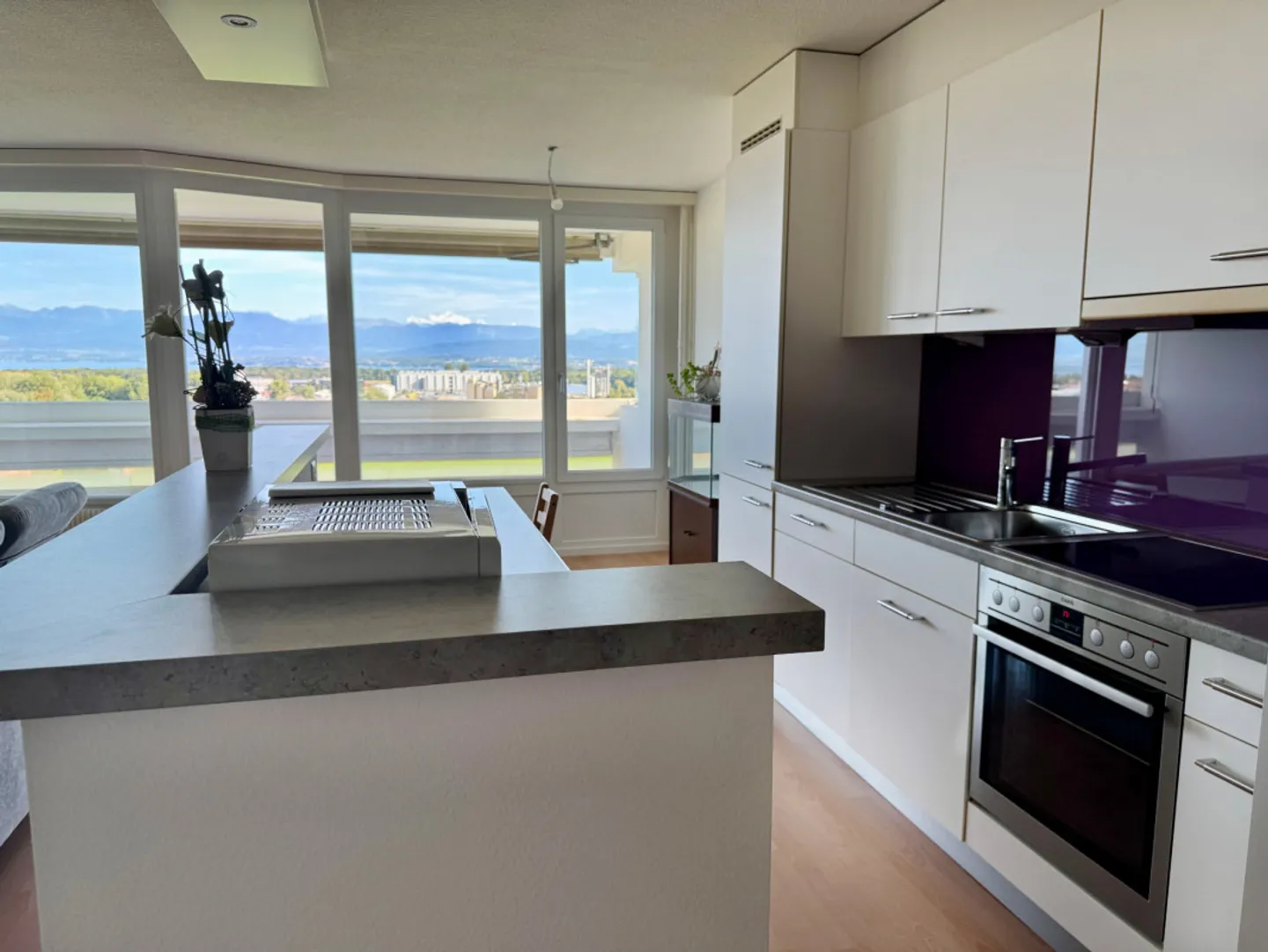 Bellissimo appartamento ristrutturato con grande balcone e vista sul lago e sulle Alpi - Foto 2 di 8