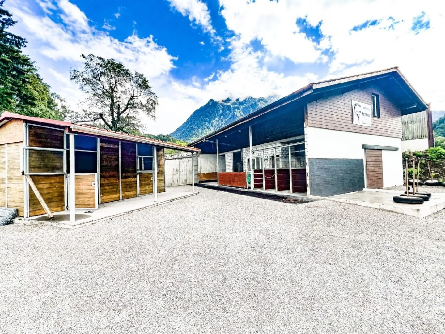 Paradiso dei cavalli nel Simmental - Oberland bernese - Foto 1 di 35