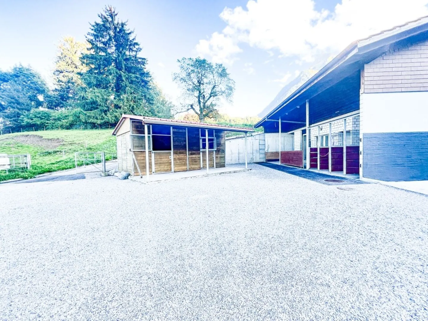 Paradiso dei cavalli nel Simmental - Oberland bernese - Foto 4 di 35