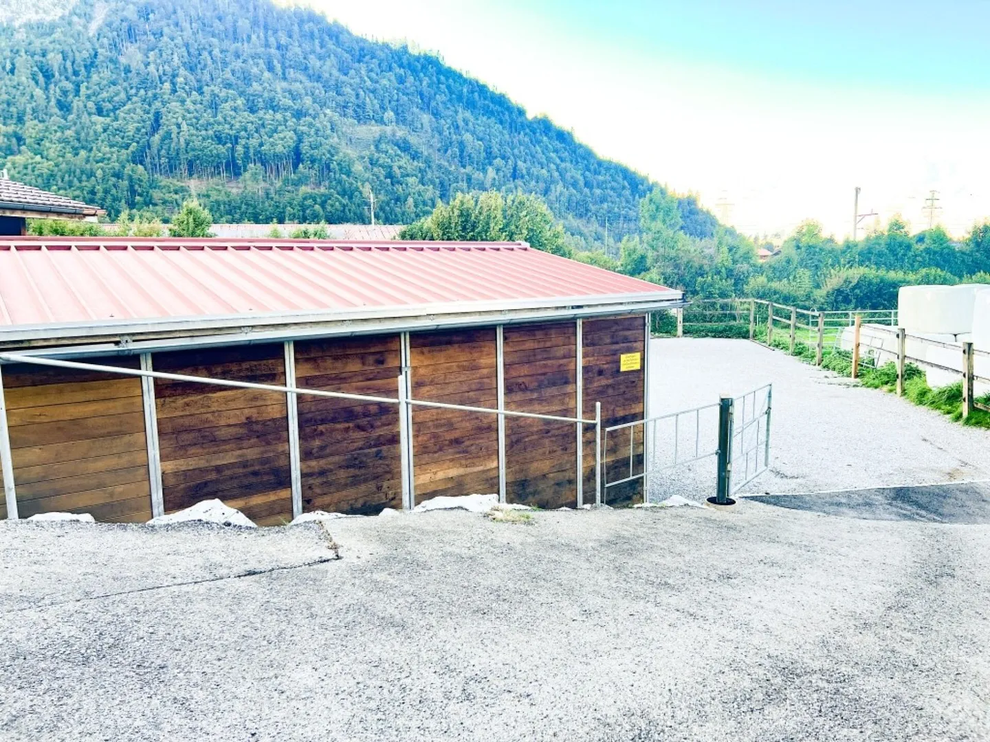 Paradiso dei cavalli nel Simmental - Oberland bernese - Foto 27 di 35