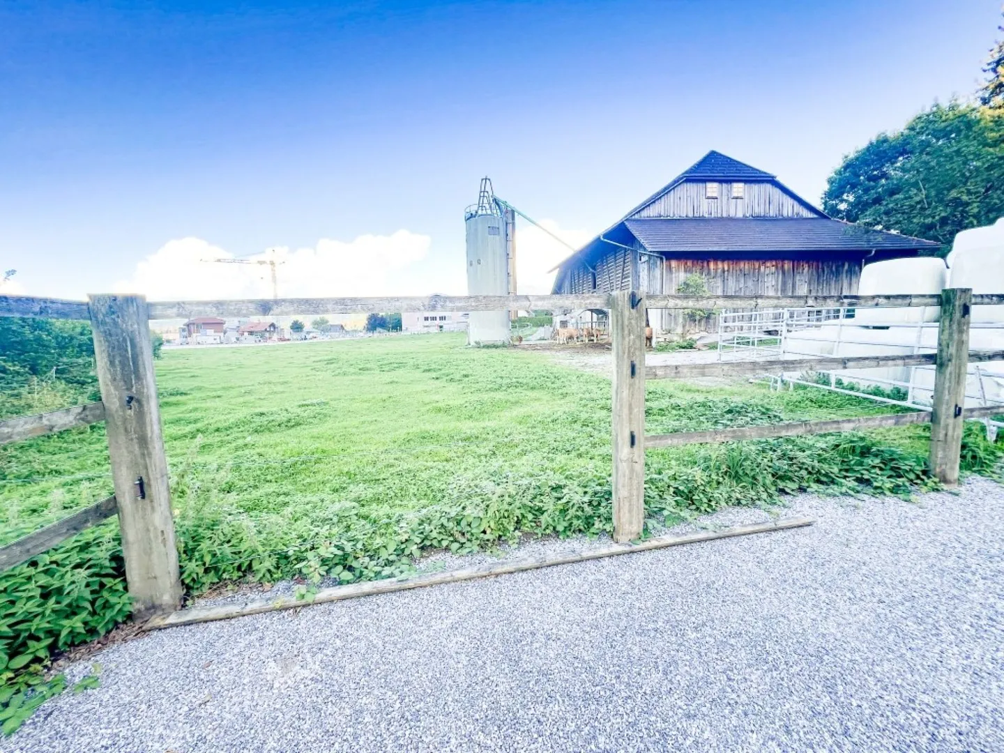 Paradiso dei cavalli nel Simmental - Oberland bernese - Foto 33 di 35