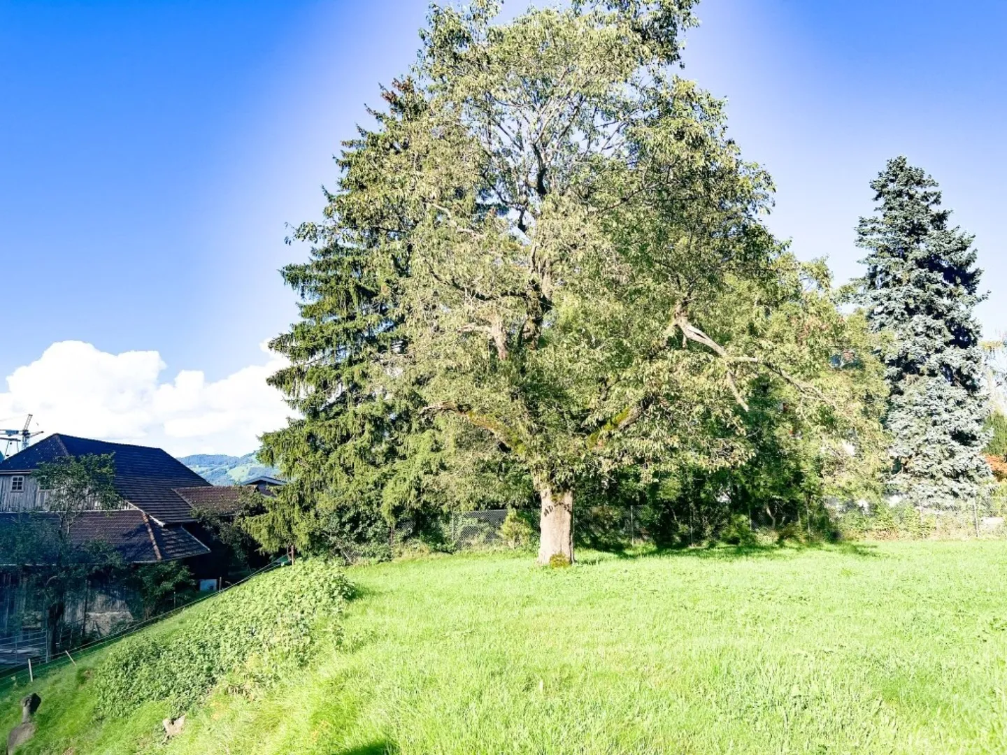 Paradiso dei cavalli nel Simmental - Oberland bernese - Foto 34 di 35