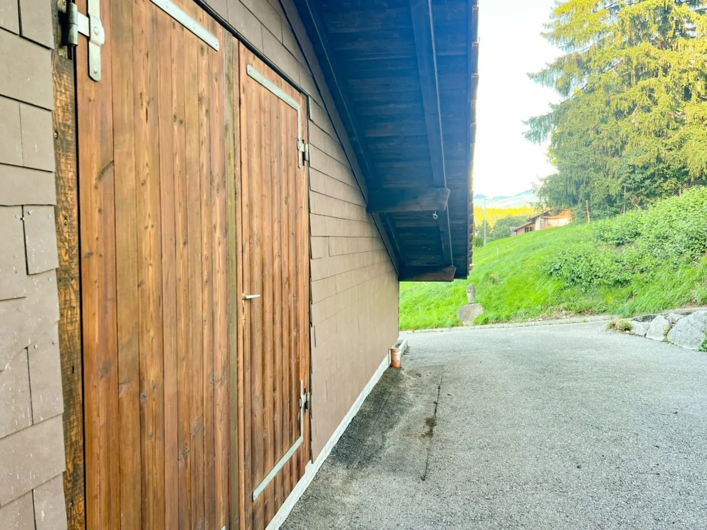Paradiso dei cavalli nel Simmental - Oberland bernese - Foto 31 di 35