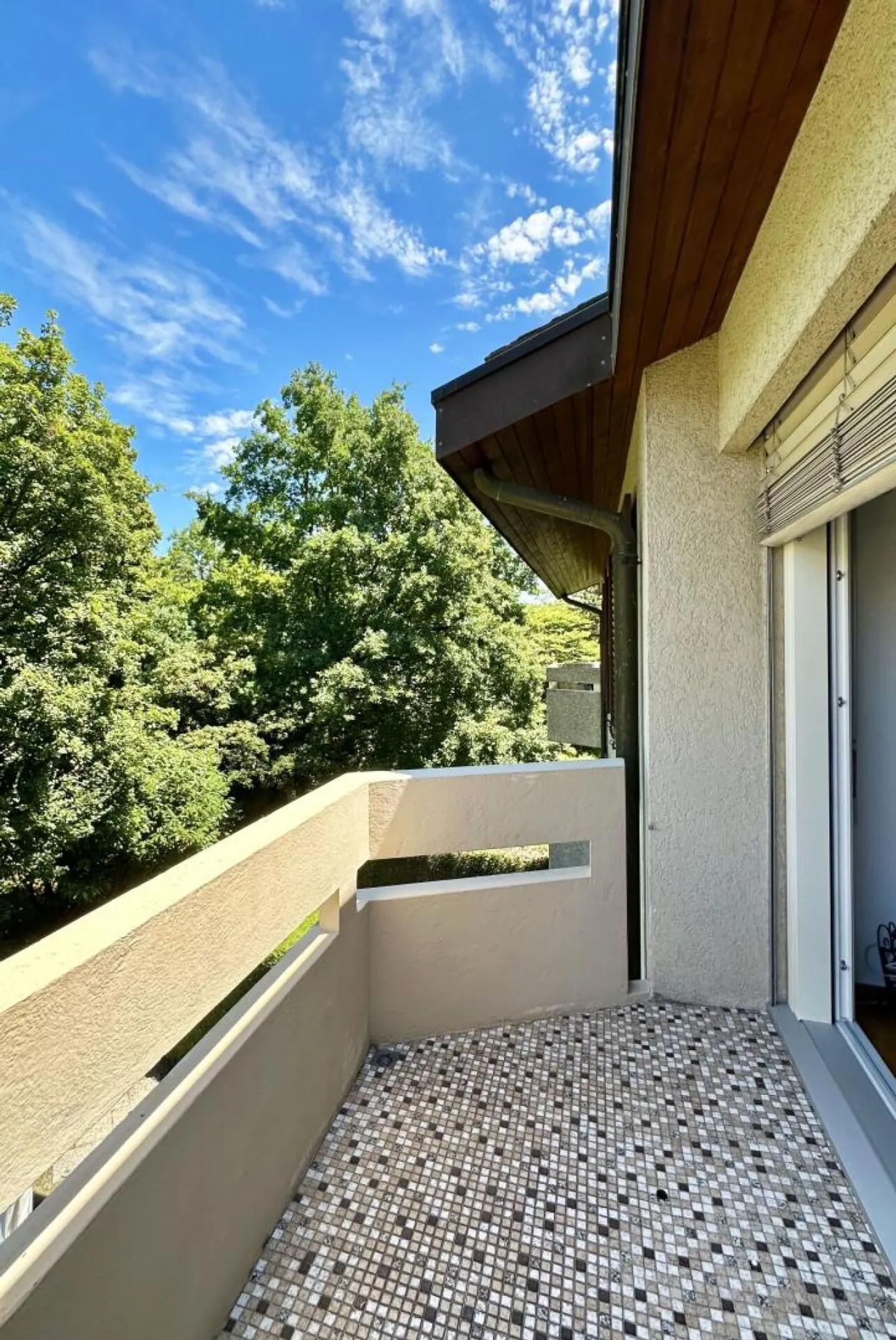 Appartamento 5,5 stanze a Cologny - Foto 32 di 41