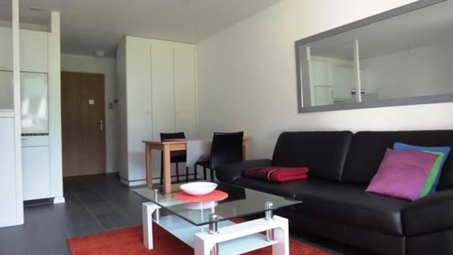 Gepflegte 1-Zimmer-Wohnung mit grossem, privatem Balkon in ruhiger Lage - Photo 1 of 5