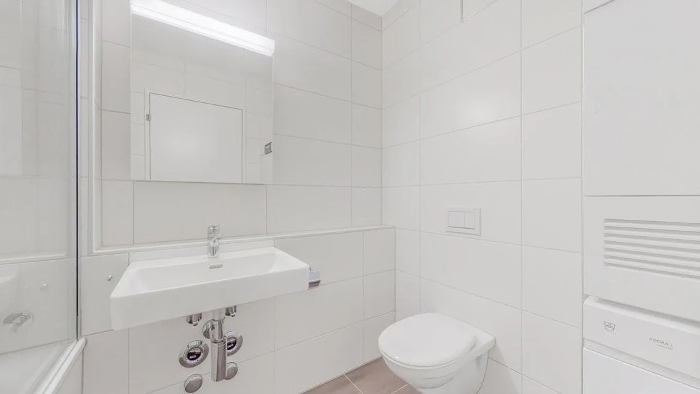Bright Apartment in Pratteln - Photo 7 of 12