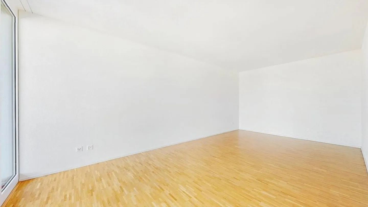 Bright Apartment in Pratteln - Photo 9 of 12