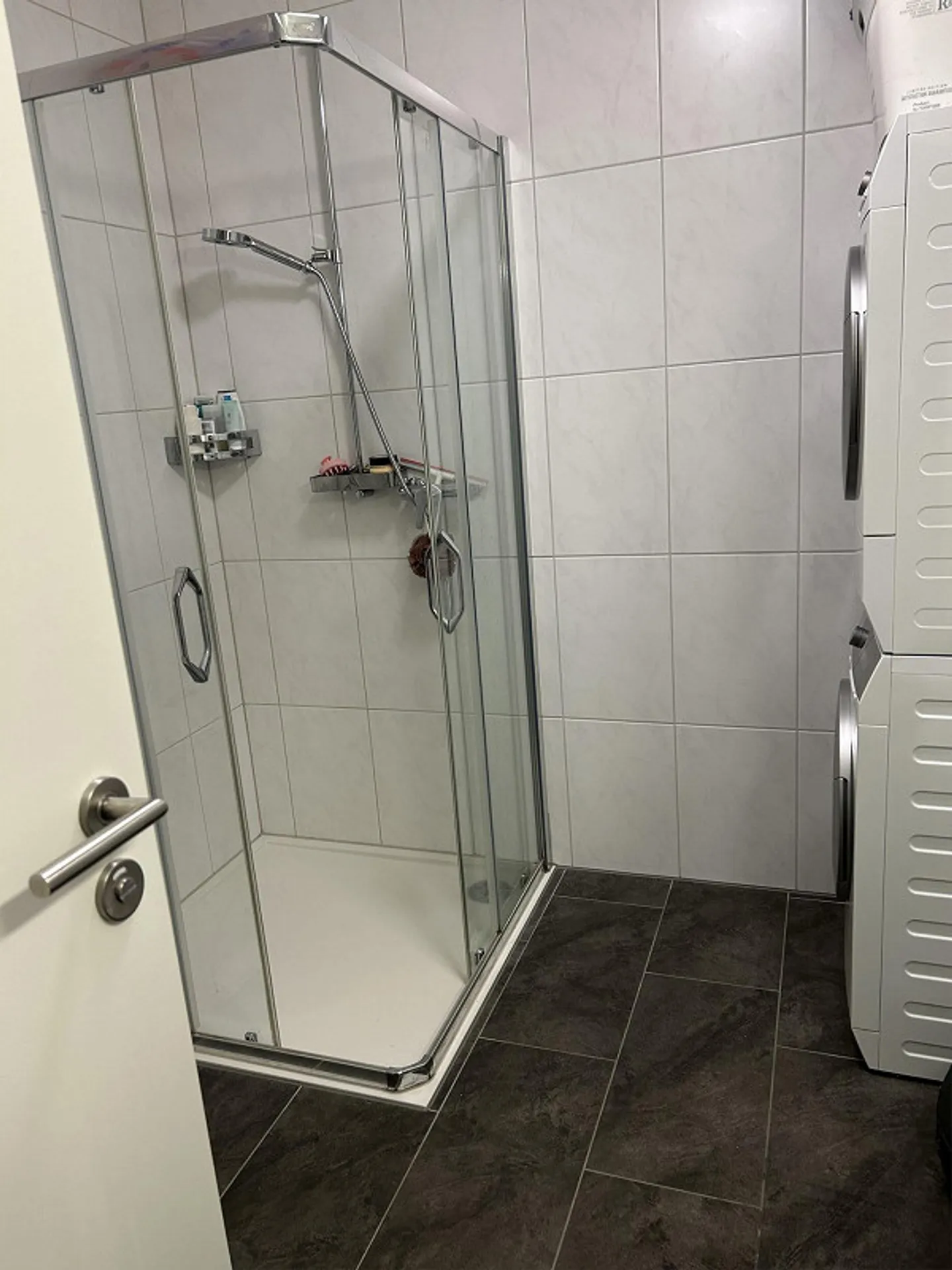 2.5 Room Apartment - Photo 6 of 9