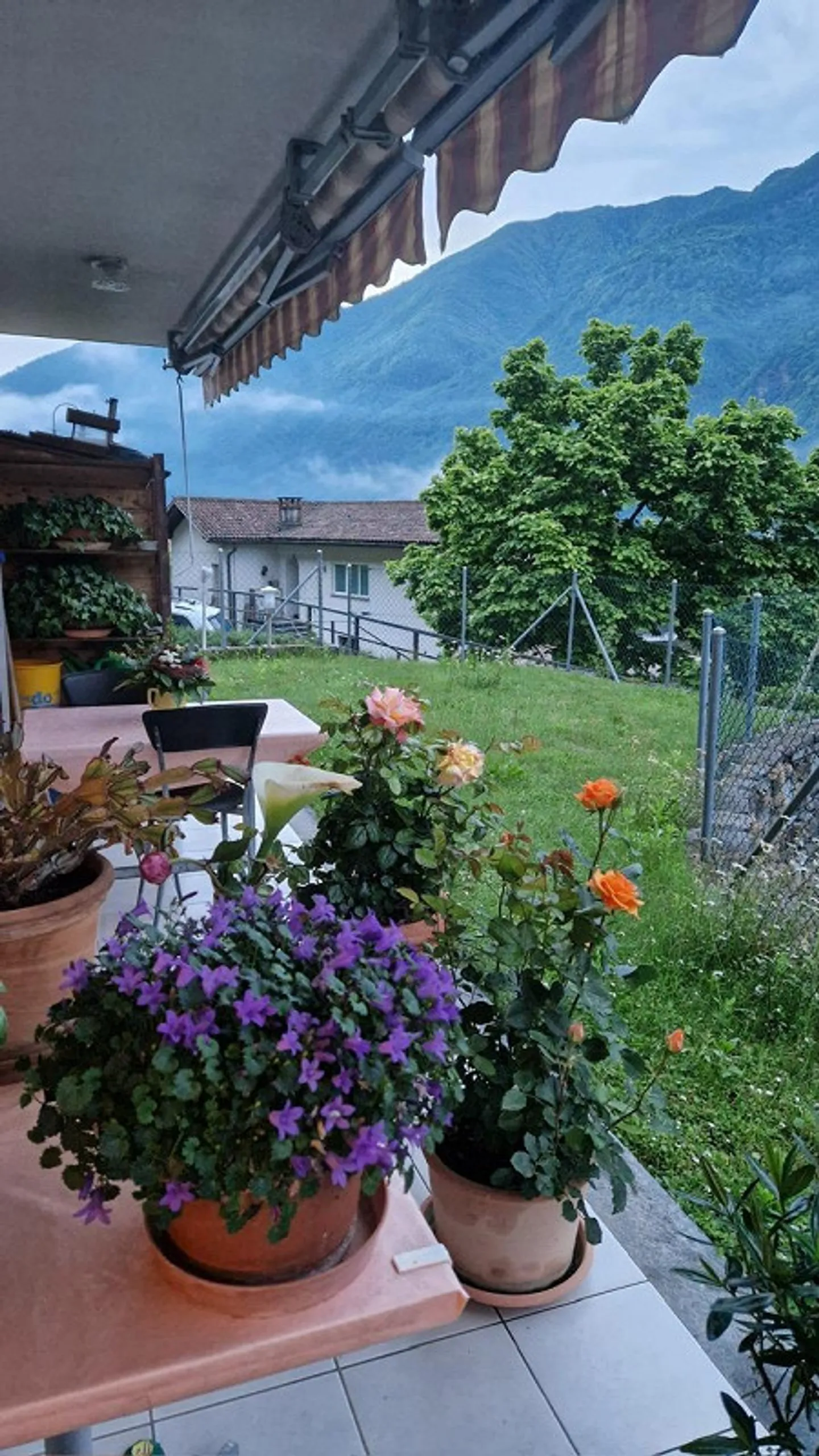 Oase des Lichts und der Ruhe in Maggia – 4,5 Zimmer mit Garten - Foto 1 von 7