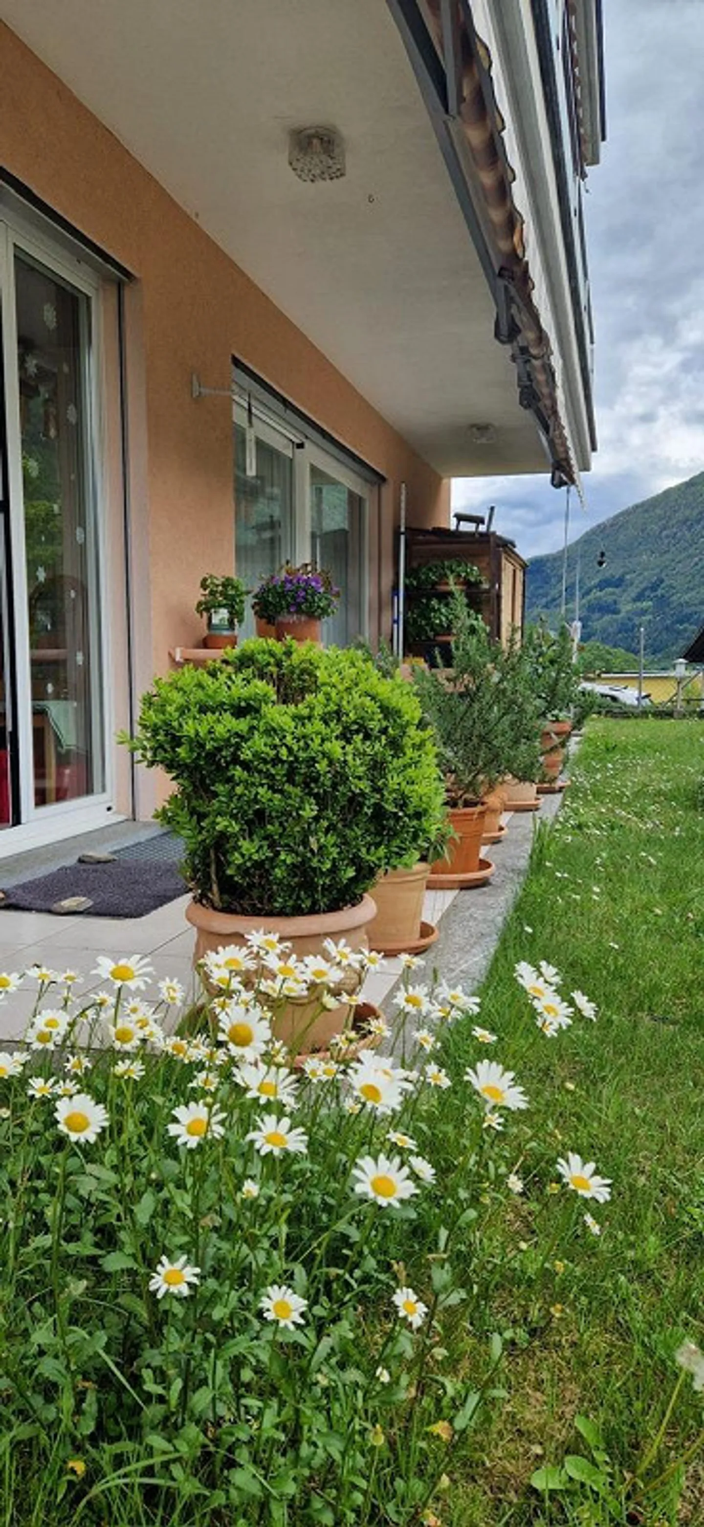 Oase des Lichts und der Ruhe in Maggia – 4,5 Zimmer mit Garten - Foto 7 von 7