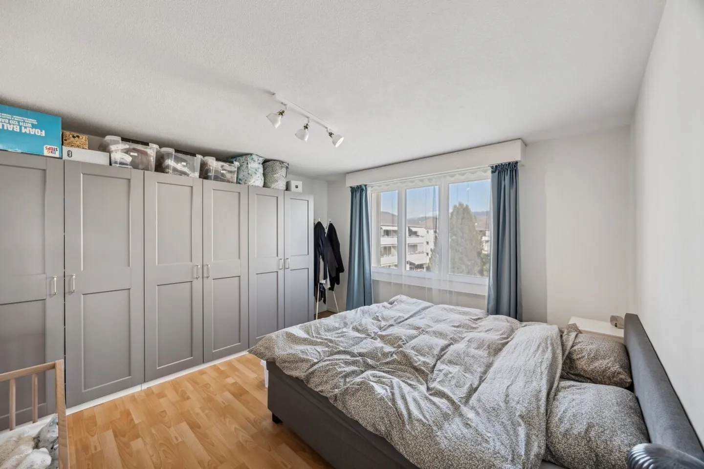 Sunny apartment with a view of the Bernese Alps - Photo 3 of 9