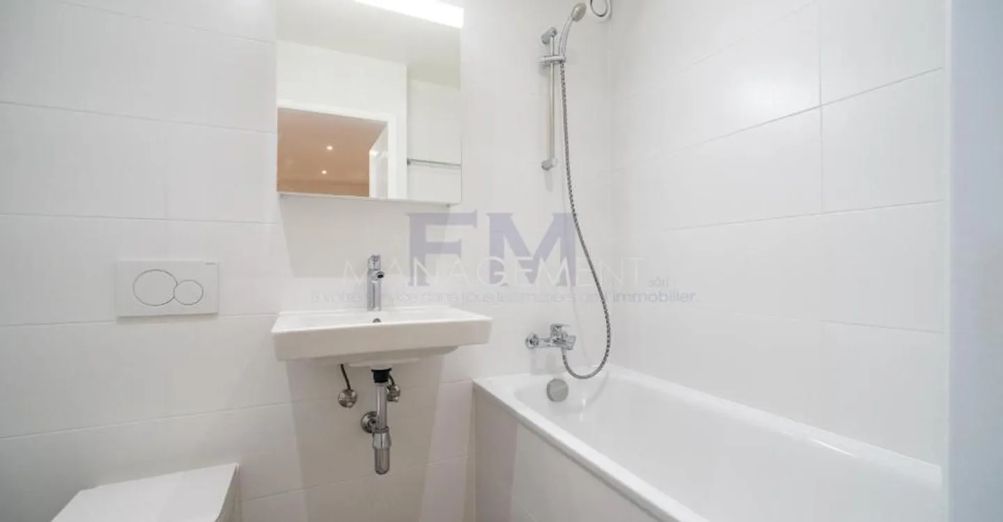 Renovated Apartment in Chêne-Bourg - Photo 9 of 13
