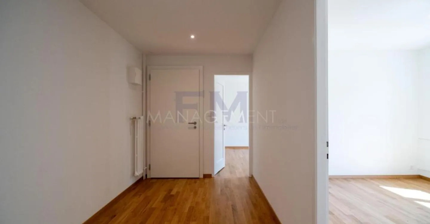 Renovated Apartment in Chêne-Bourg - Photo 5 of 13
