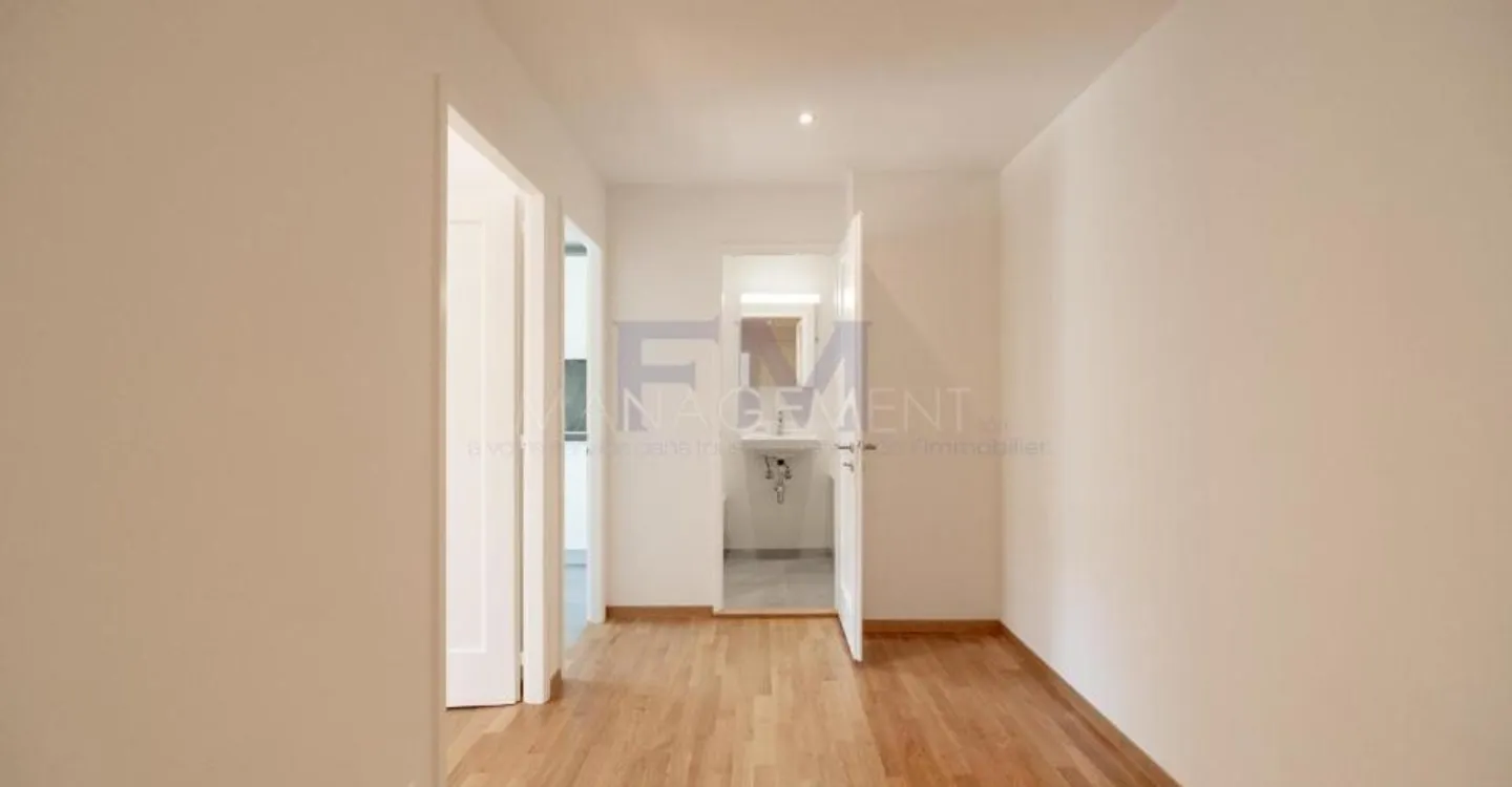 Renovated Apartment in Chêne-Bourg - Photo 6 of 13