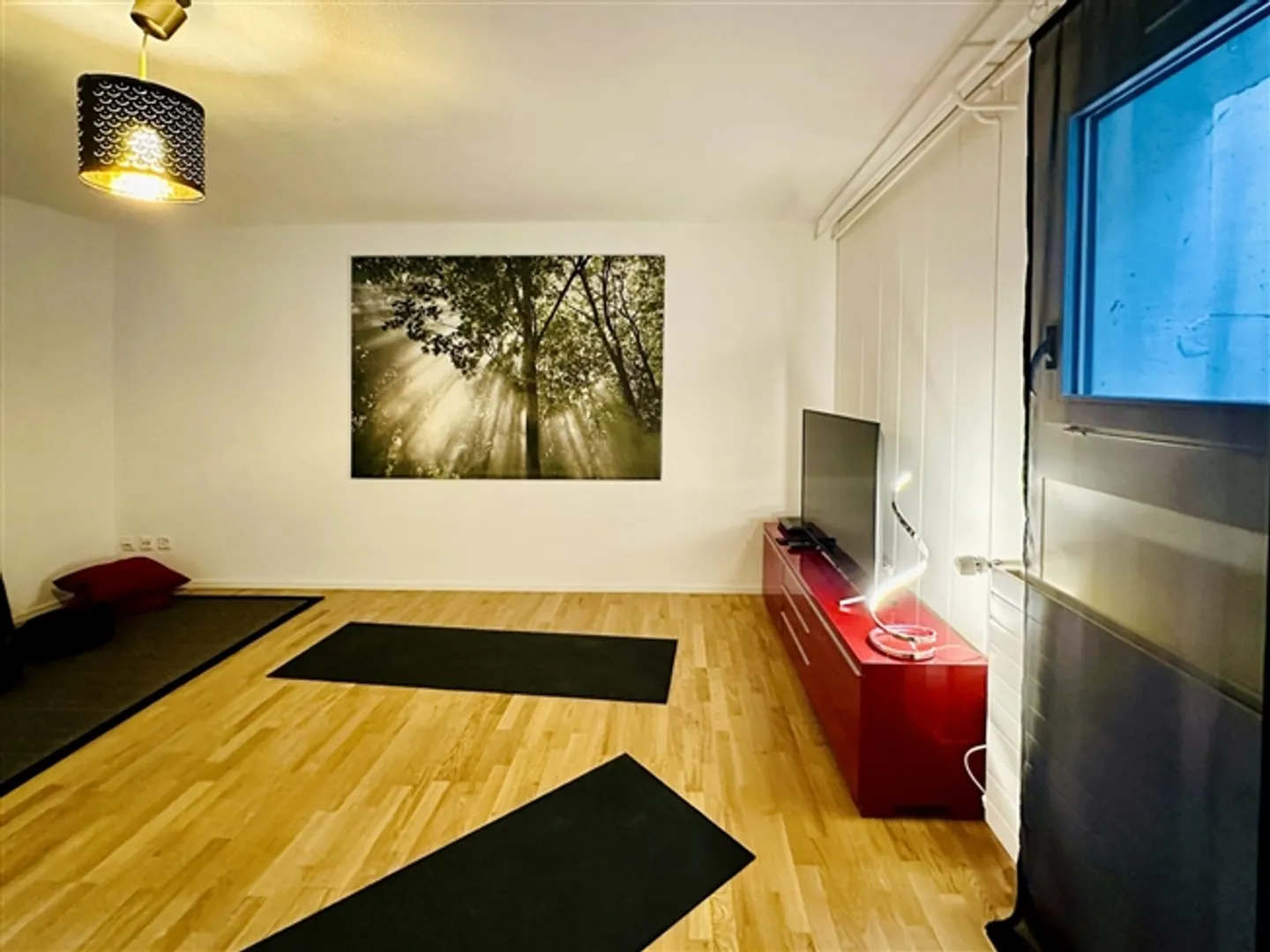 4½ ROOM HOUSE IN MENZINGEN (ZG), FURNISHED, TEMPORARY - Photo 3 of 10