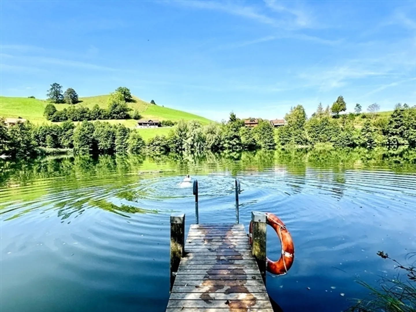 4½ ROOM HOUSE IN MENZINGEN (ZG), FURNISHED, TEMPORARY - Photo 10 of 10