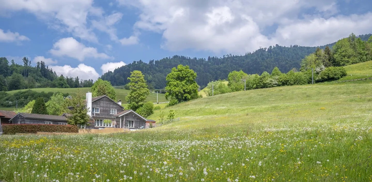 Exclusive Country House Idyl with 3,874 m² of Land, Large Natural Pond and Alpine View - Photo 2 of 24