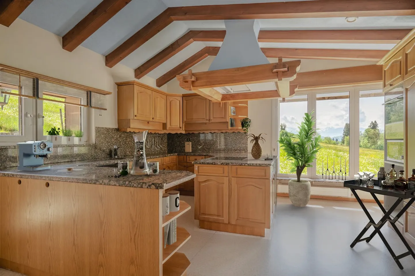 Exclusive Country House Idyl with 3,874 m² of Land, Large Natural Pond and Alpine View - Photo 12 of 24