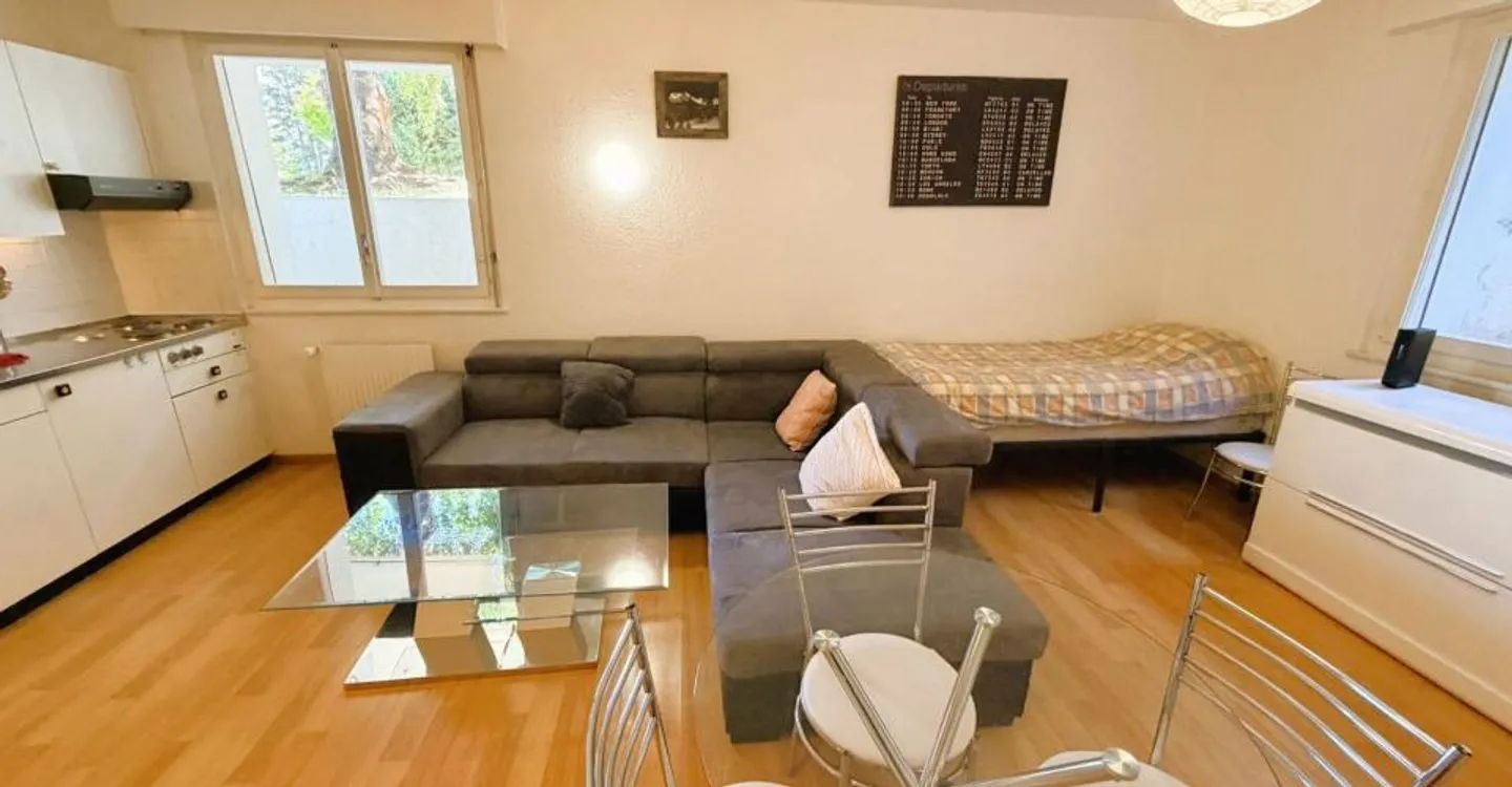 Appartamento di 1.5 locali molto spazioso e luminoso - Idealmente situato - Posizione tranquilla - Foto 6 di 11