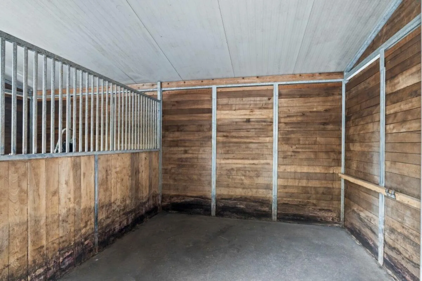 Paradiso dei cavalli nel Simmental - Oberland bernese - Foto 9 di 21