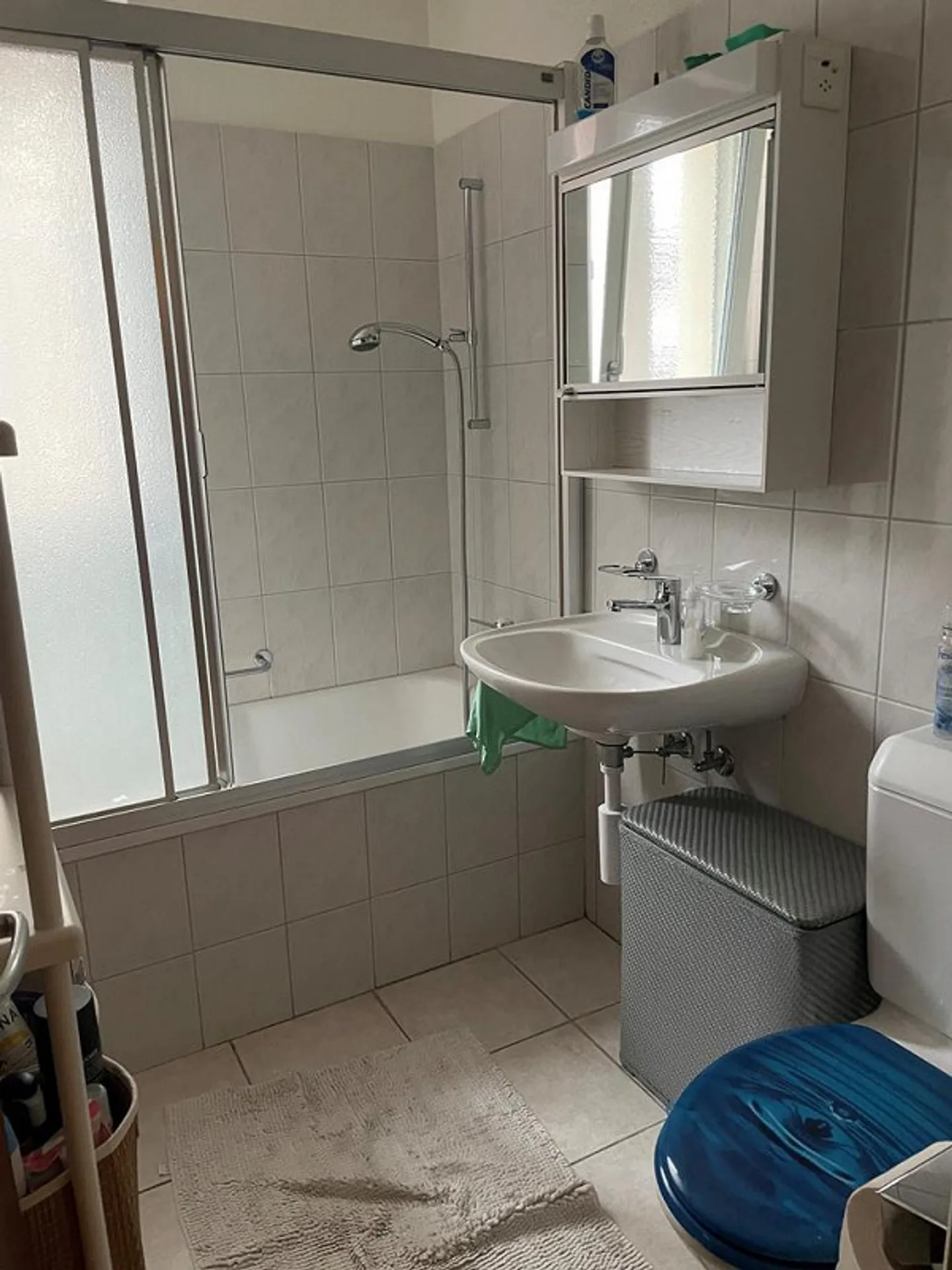 Living in quiet Allschwil! - Photo 5 of 6