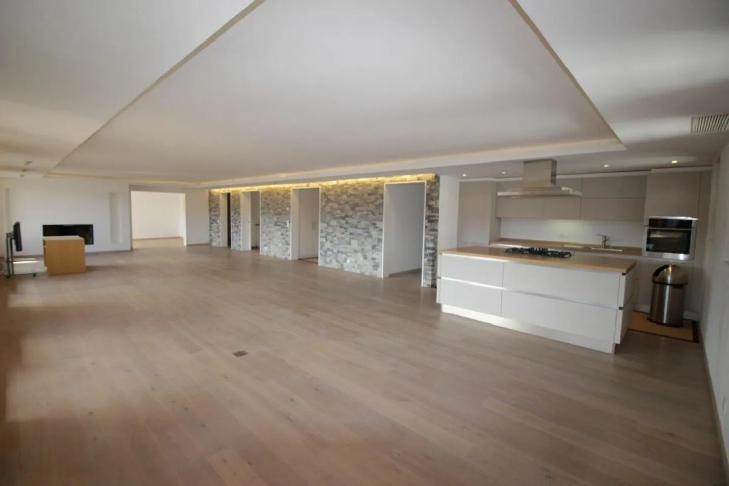 Exceptional Apartment in Montana - Photo 2 of 15