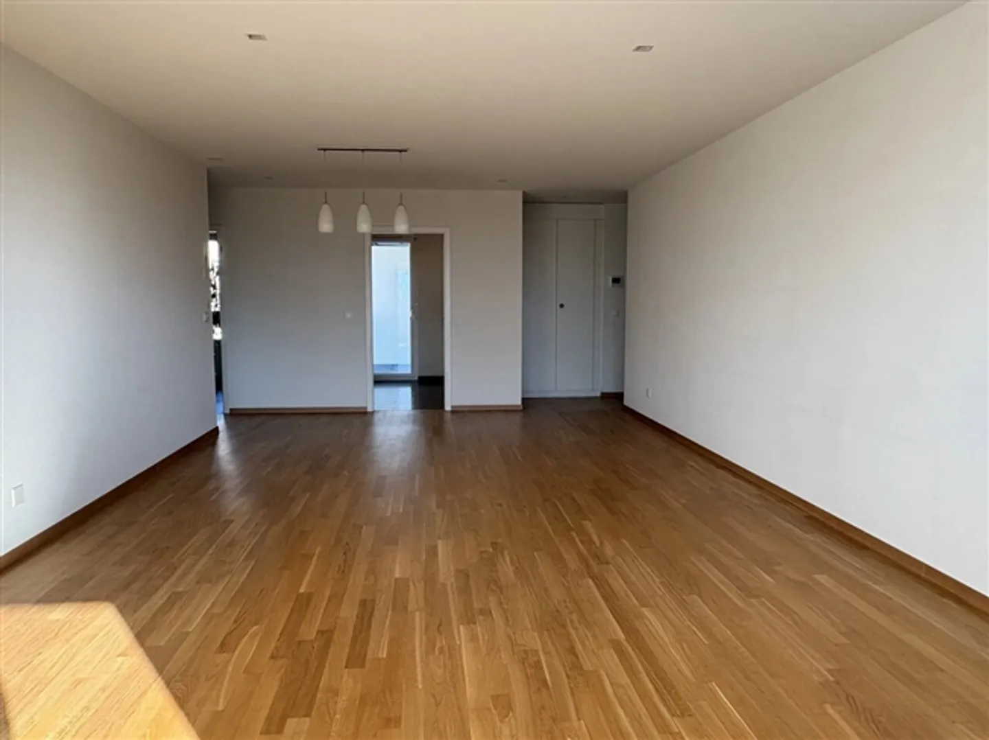 Appartement spacieux de 4,5 pièces avec terrasse et vue sur le lac - Photo 3 sur 10
