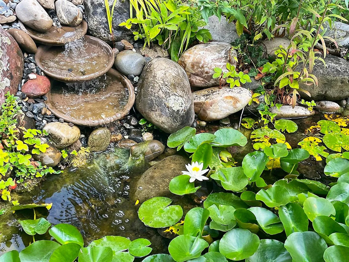 5.5 Single-family house with garden, garage and apartment - Photo 24 of 25