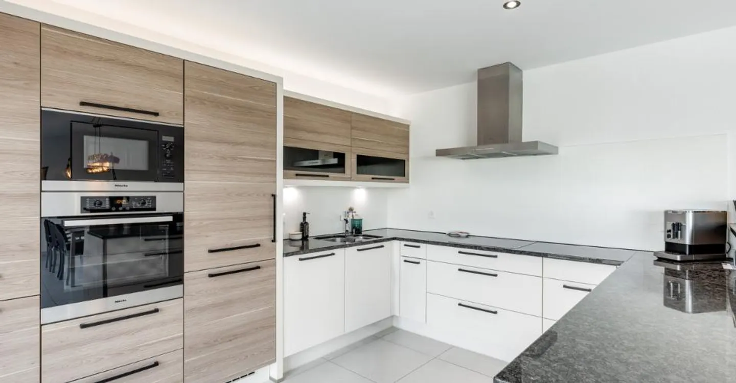 Villa contemporaine 6.5 pièces avec appartement indépendant loué - Photo 8 of 12
