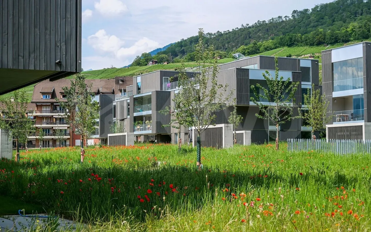 BEX - BEAUTIFUL 2.5 ROOM APARTMENT ON THE GROUND FLOOR WITH TERRACE - Photo 1 of 12