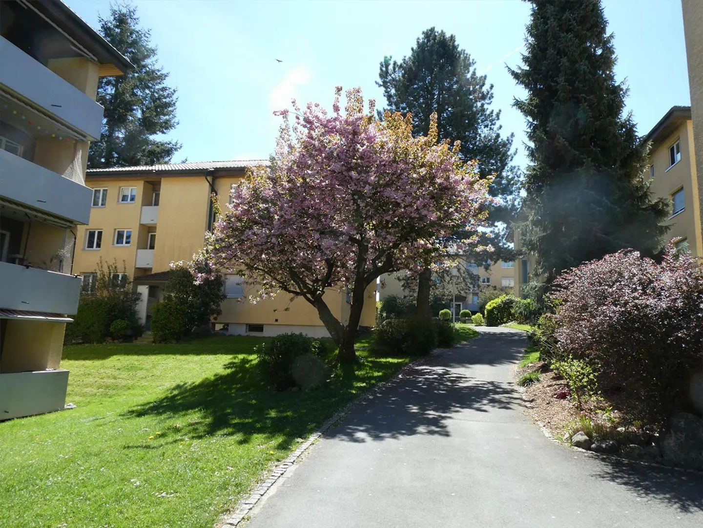 Appartamento 4.5 stanze con un eccellente rapporto qualità-prezzo - Foto 1 di 14