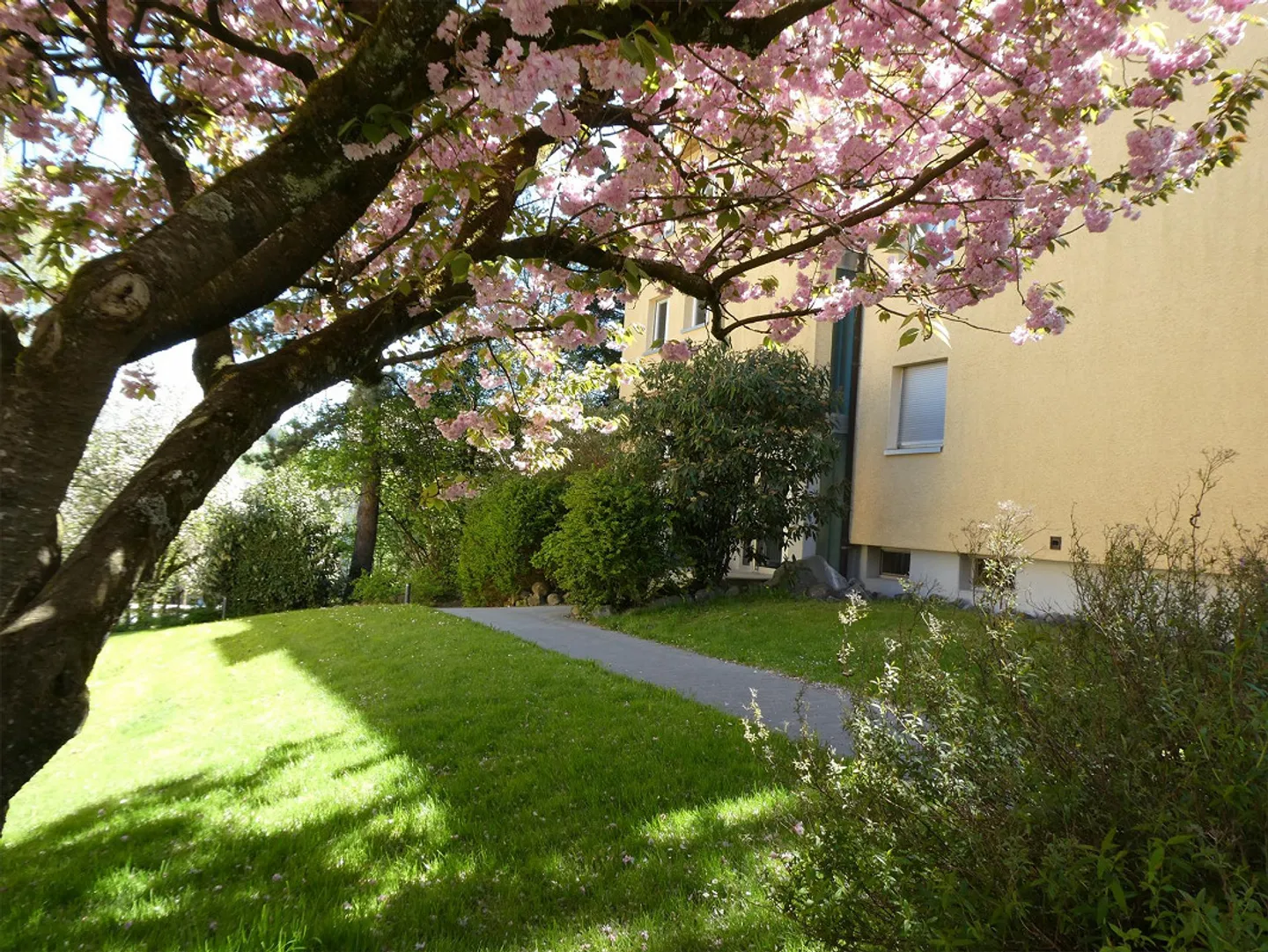 Appartamento 4.5 stanze con un eccellente rapporto qualità-prezzo - Foto 14 di 14