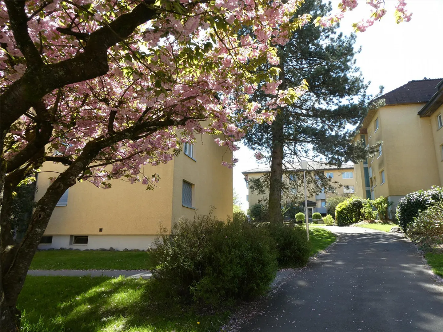 Appartamento 4.5 stanze con un eccellente rapporto qualità-prezzo - Foto 12 di 14