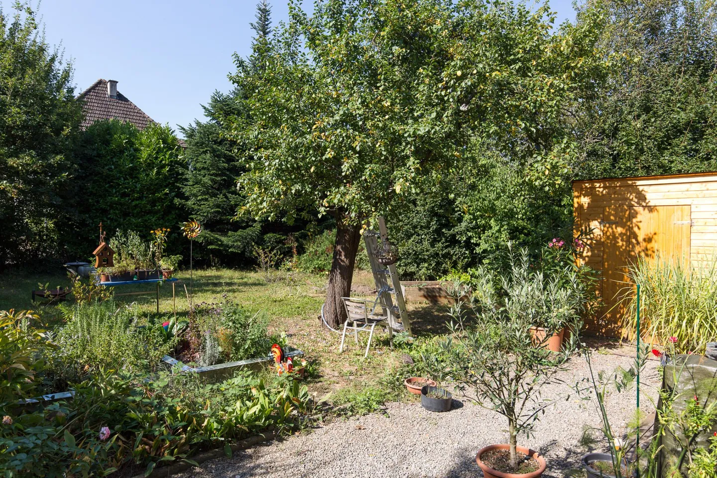Accogliente appartamento di 2.5 locali in affitto a Wettingen - Foto 1 di 6