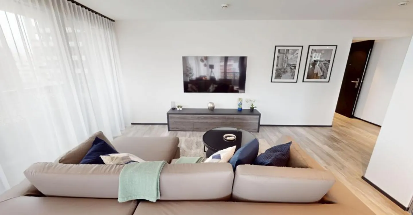 Modern Furnished Apartment Near Zurich - Photo 2 of 27