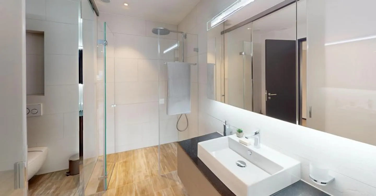 Modern Furnished Apartment Near Zurich - Photo 6 of 27