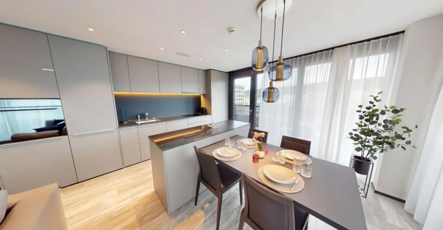 Modern Furnished Apartment Near Zurich - Photo 8 of 27
