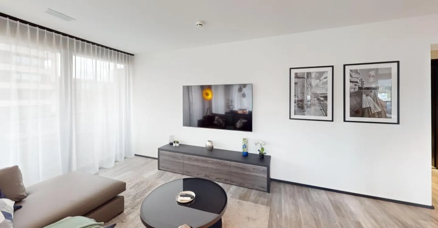 Modern Furnished Apartment Near Zurich - Photo 9 of 27