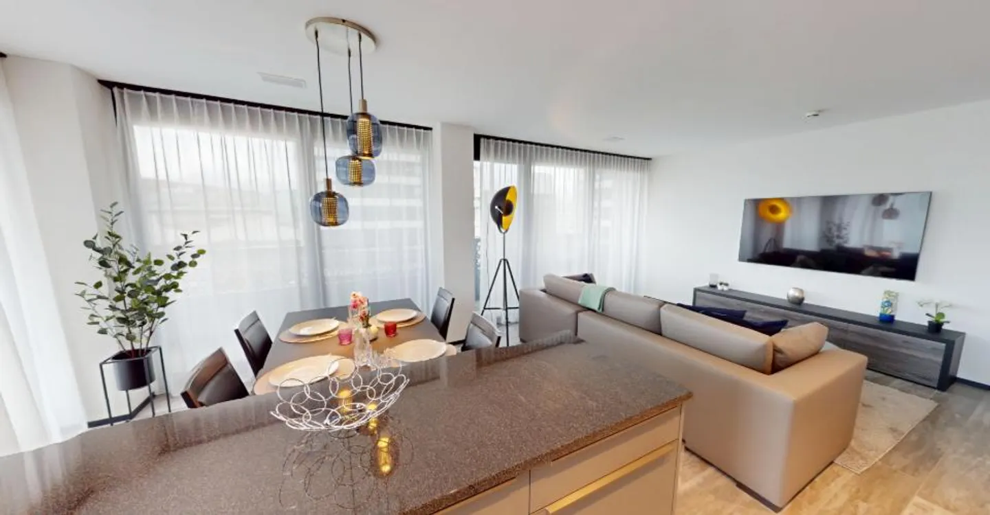 Modern Furnished Apartment Near Zurich - Photo 19 of 27